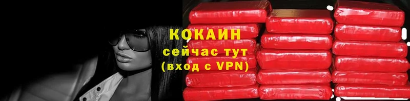 kraken вход  закладки  нарко площадка клад  COCAIN 99%  Новоалександровск 